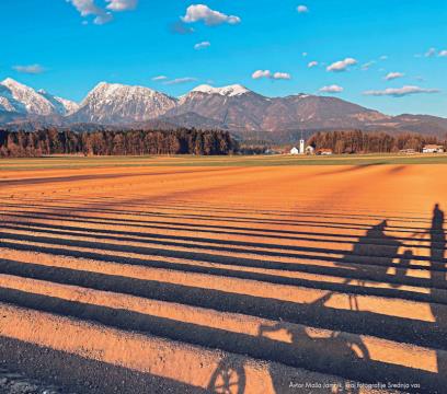 Marec - Maša Jamnik